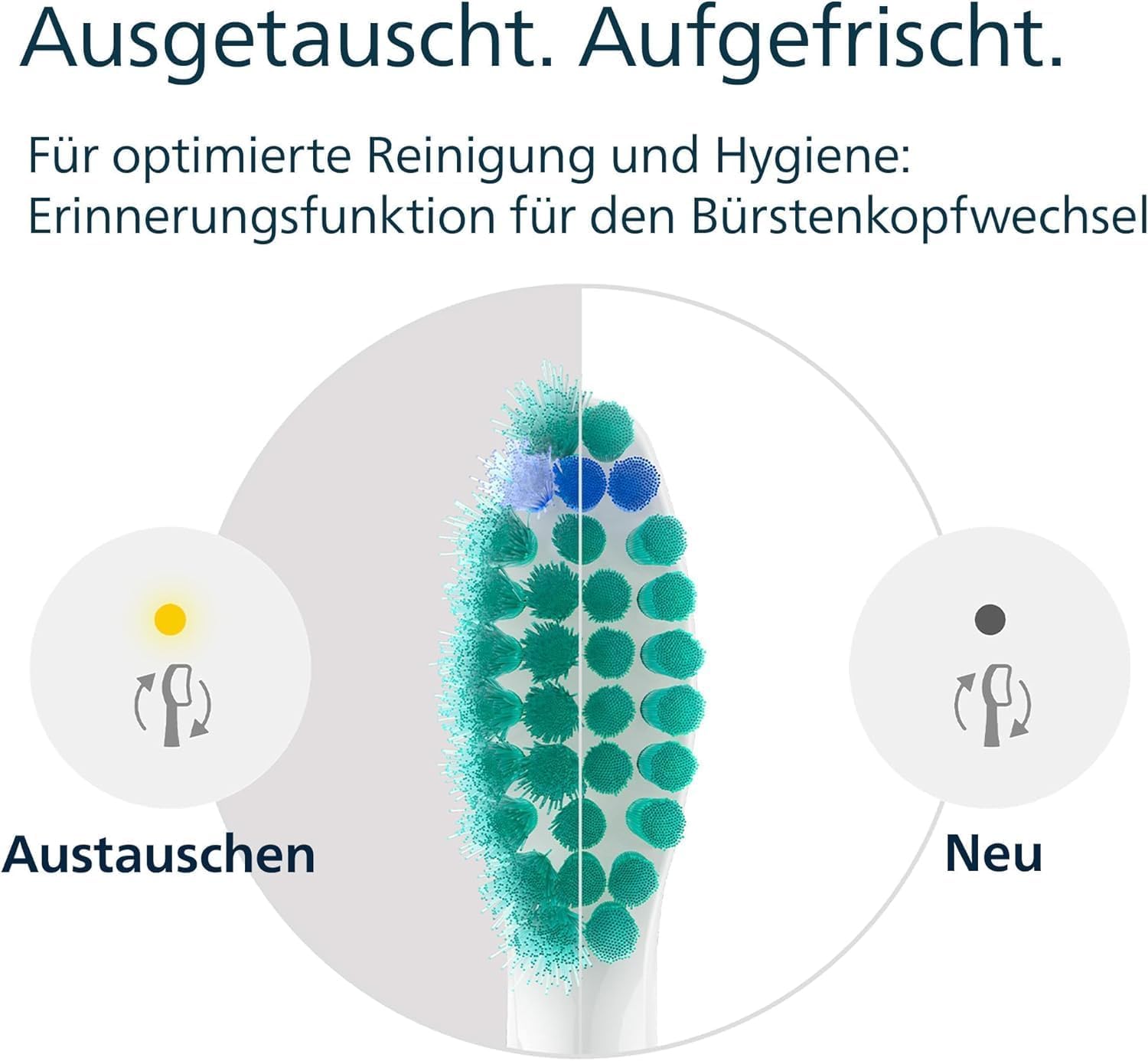 philips-sonicare-c1-proresults-b-rstenk-pfe-hx6010-32-10-st-ck-standard-aufsatzb image 8
