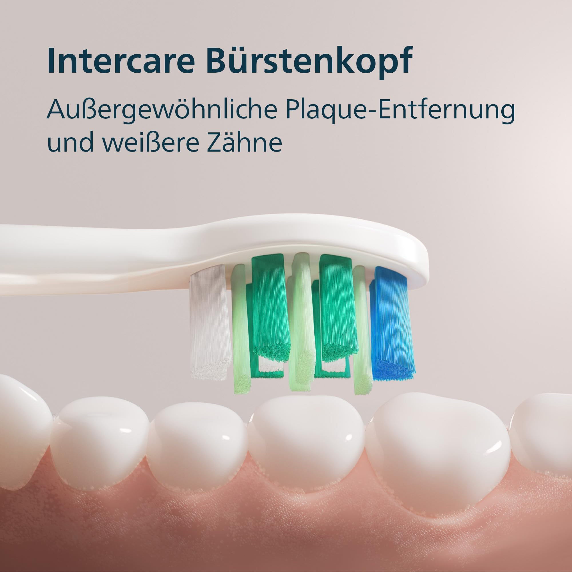 philips-sonicare-series-2100-hx4023-02-elektrische-schallzahnb-rste-2-intensit-t image 6